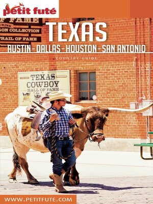 cover image of TEXAS 2018/2019 Petit Futé